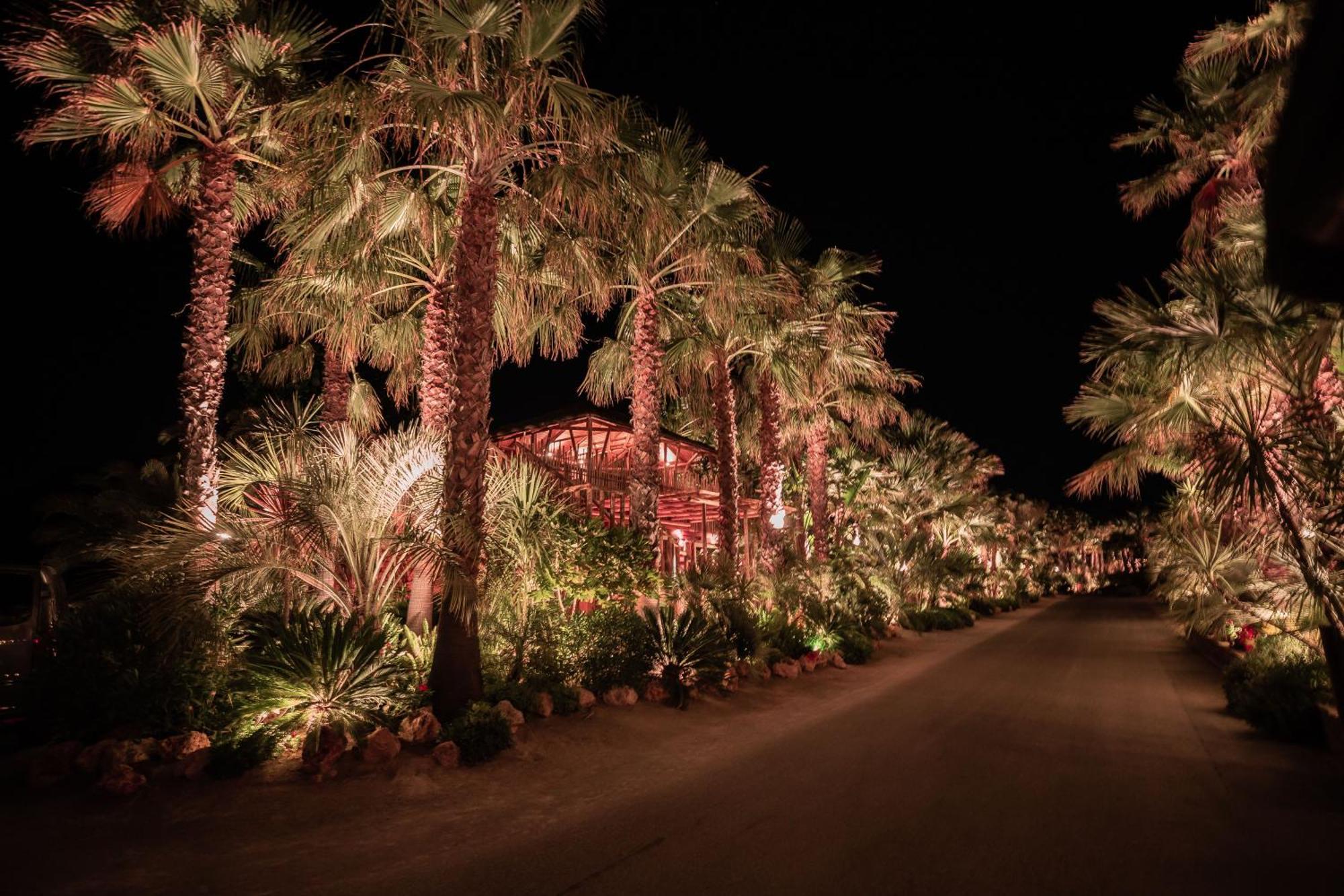 Toison D'Or Ξενοδοχείο Ramatuelle Εξωτερικό φωτογραφία The Desert Botanical Gardens at night