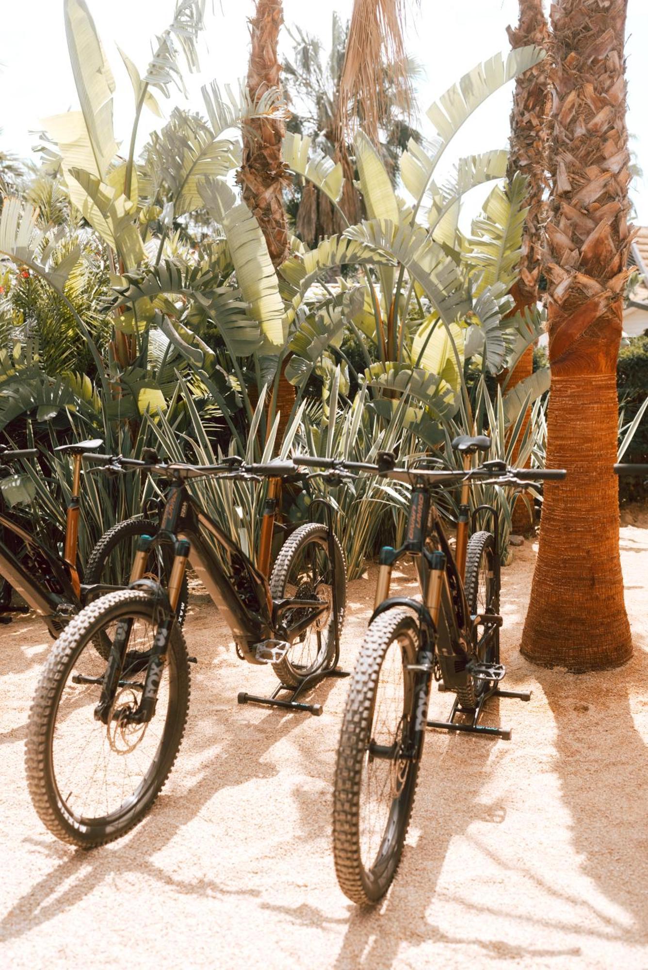 Toison D'Or Ξενοδοχείο Ramatuelle Εξωτερικό φωτογραφία Bicycles at the Desert Botanical Gardens