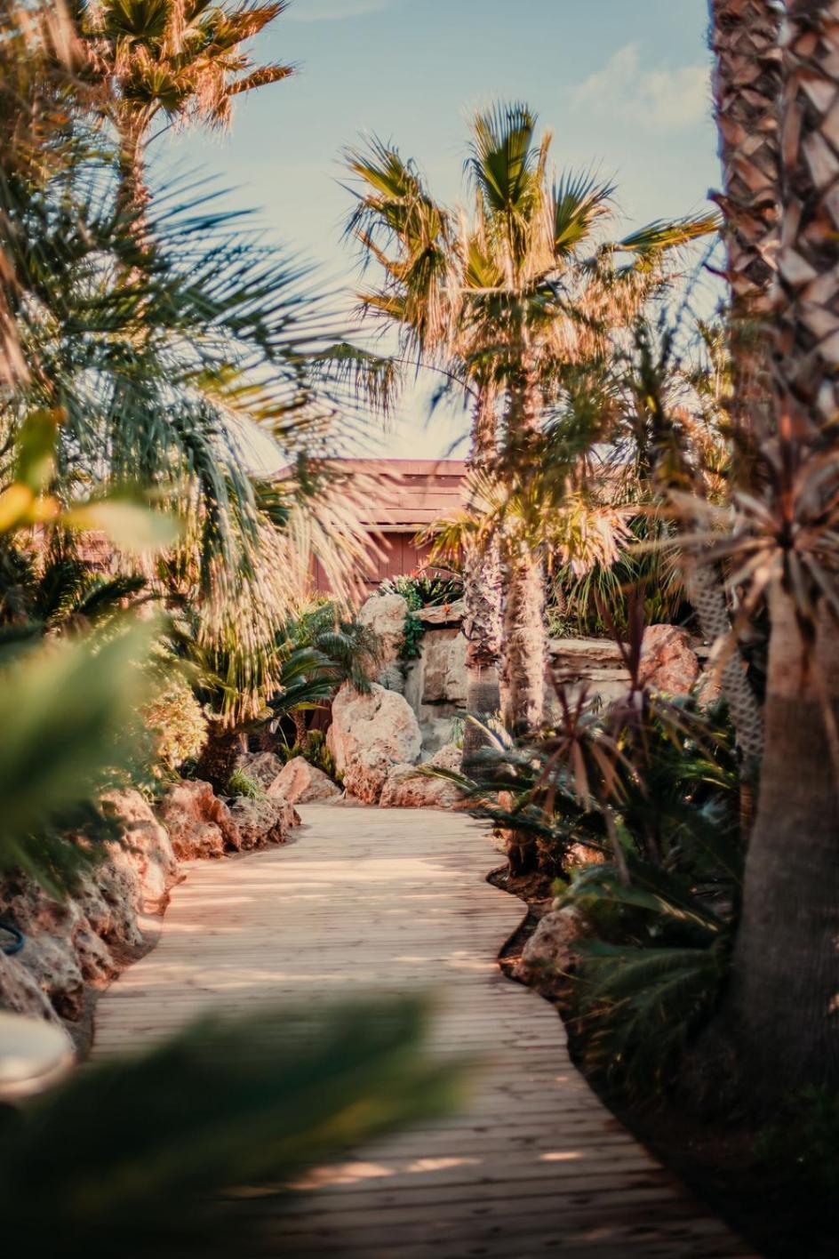 Toison D'Or Ξενοδοχείο Ramatuelle Εξωτερικό φωτογραφία The Palm House